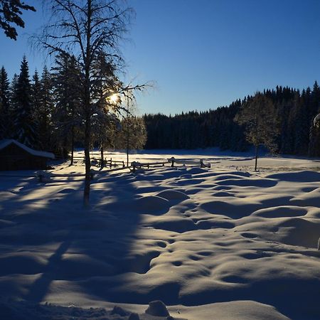 Yttermalung The Old Logging Camp 빌라 외부 사진