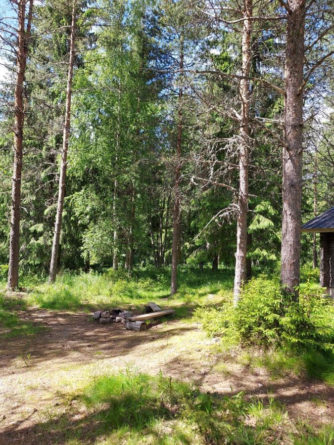 Yttermalung The Old Logging Camp 빌라 외부 사진
