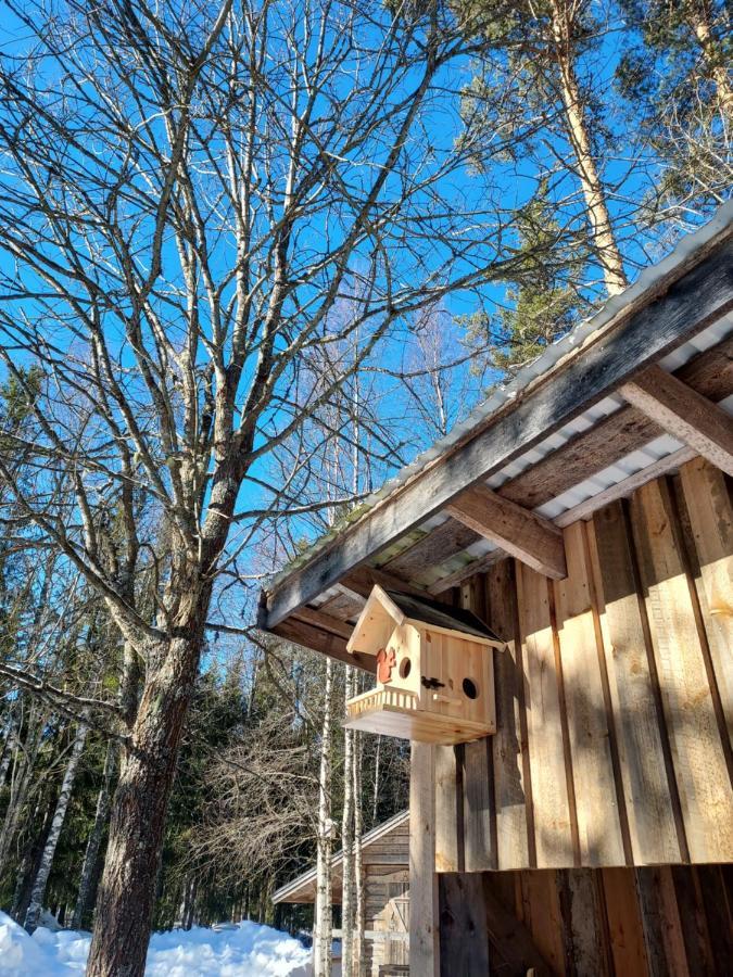 Yttermalung The Old Logging Camp 빌라 외부 사진