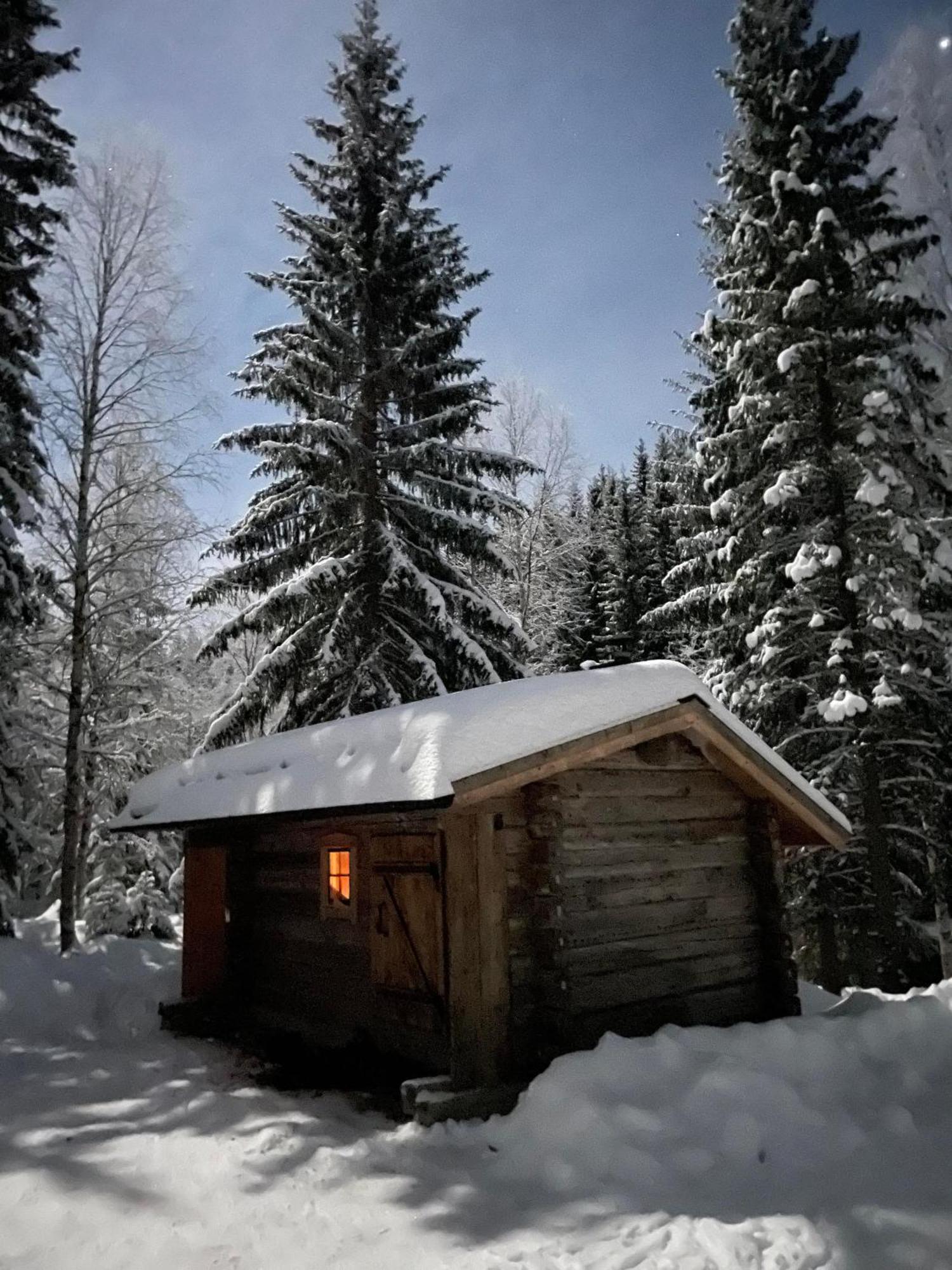 Yttermalung The Old Logging Camp 빌라 외부 사진